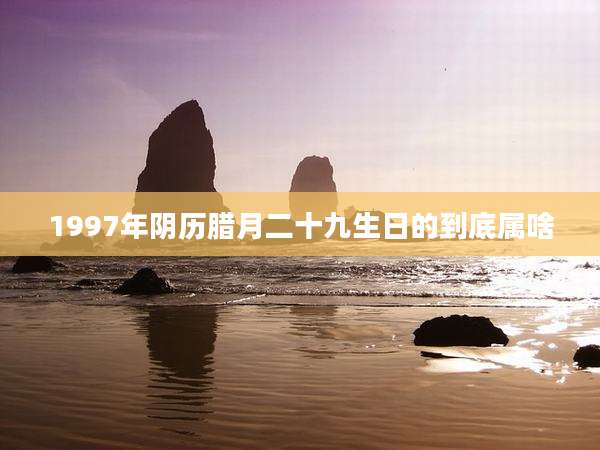 1997年阴历腊月二十九生日的到底属啥