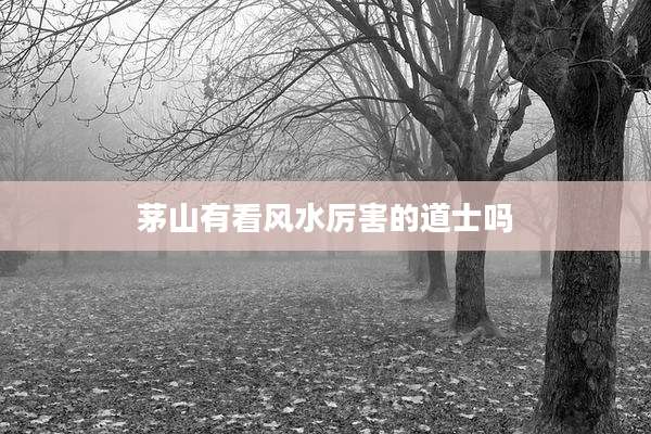 茅山有看风水厉害的道士吗