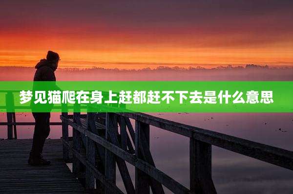 梦见猫爬在身上赶都赶不下去是什么意思