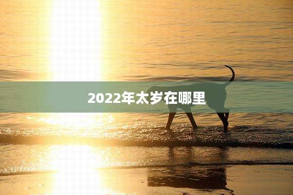 2022年太岁在哪里
