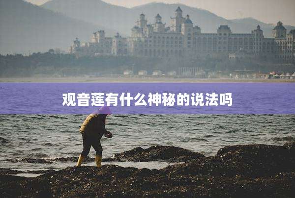 观音莲有什么神秘的说法吗