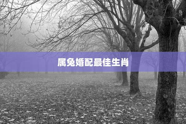 属兔婚配最佳生肖