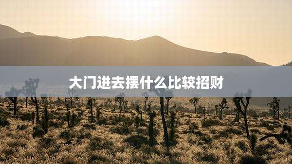 大门进去摆什么比较招财