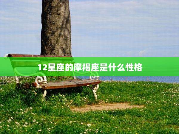 12星座的摩羯座是什么性格