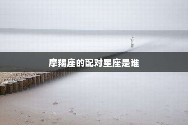 摩羯座的配对星座是谁