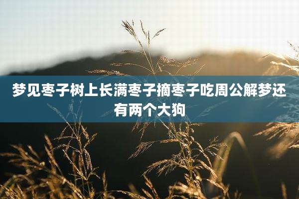 梦见枣子树上长满枣子摘枣子吃周公解梦还有两个大狗