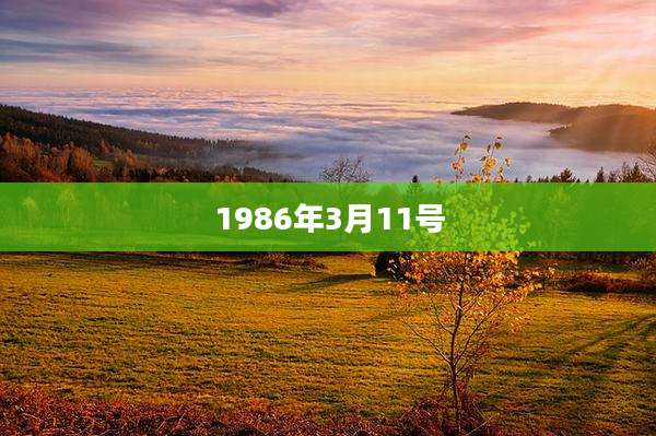 1986年3月11号