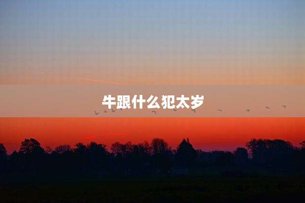牛跟什么犯太岁