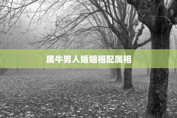 属牛男人婚姻相配属相