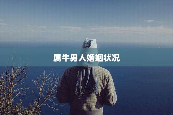 属牛男人婚姻状况