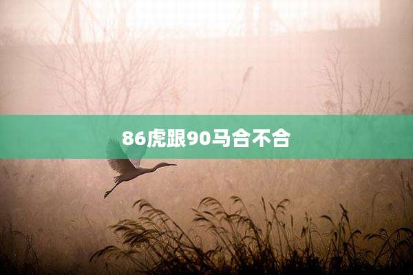 86虎跟90马合不合