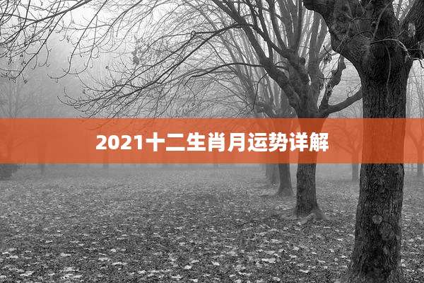 2021十二生肖月运势详解