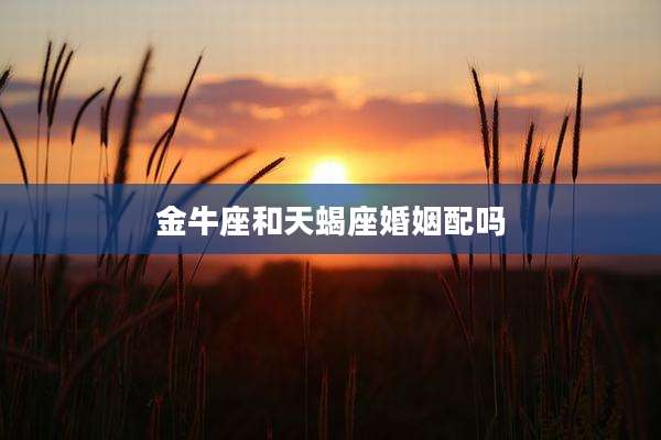 金牛座和天蝎座婚姻配吗