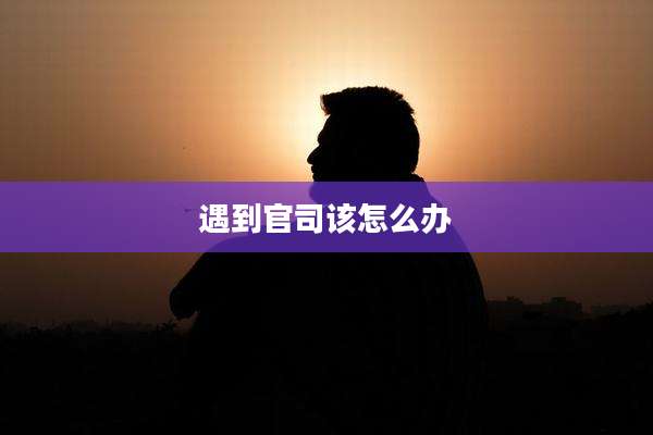 遇到官司该怎么办