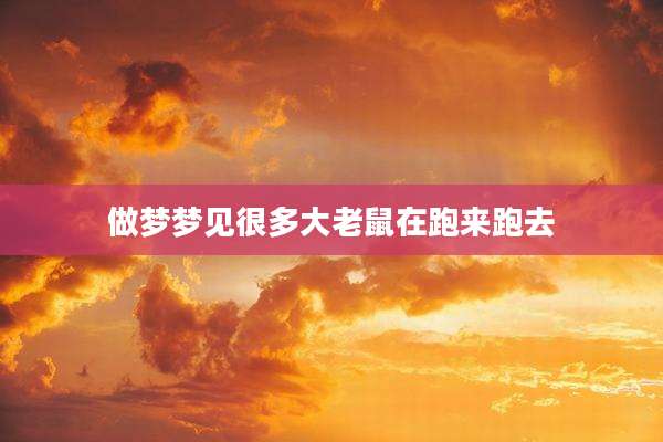 做梦梦见很多大老鼠在跑来跑去