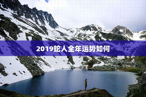 2019蛇人全年运势如何