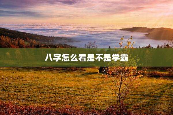八字怎么看是不是学霸