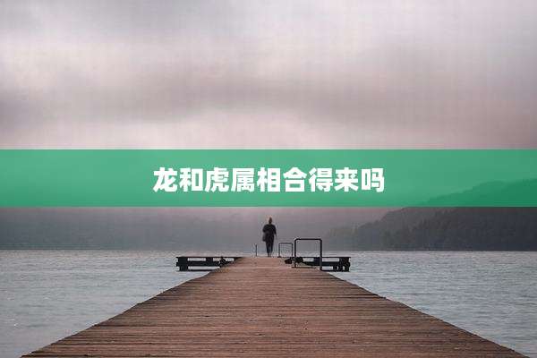龙和虎属相合得来吗