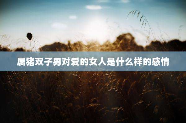 属猪双子男对爱的女人是什么样的感情
