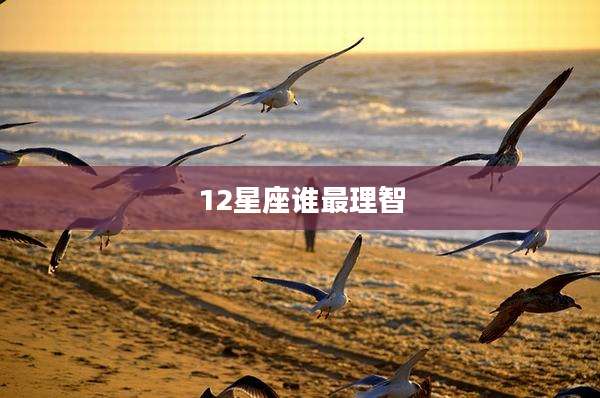 12星座谁最理智