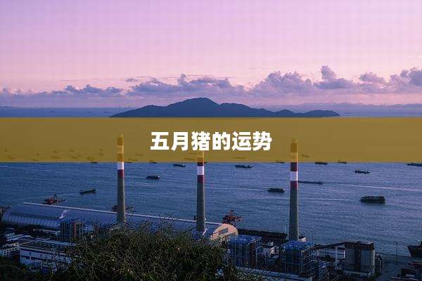 五月猪的运势