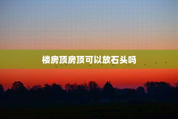楼房顶房顶可以放石头吗
