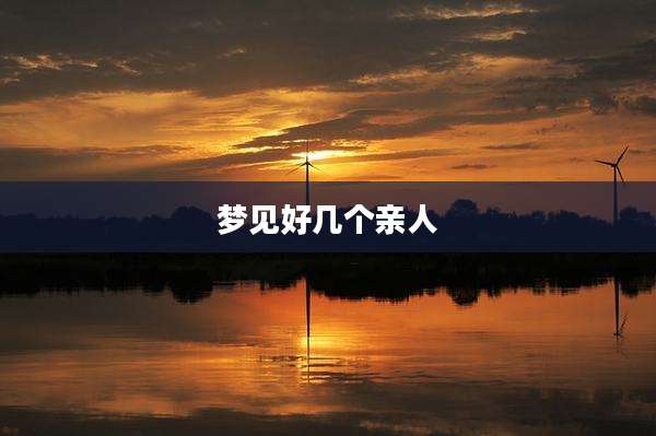 梦见好几个亲人