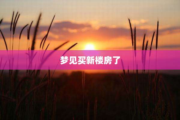 梦见买新楼房了
