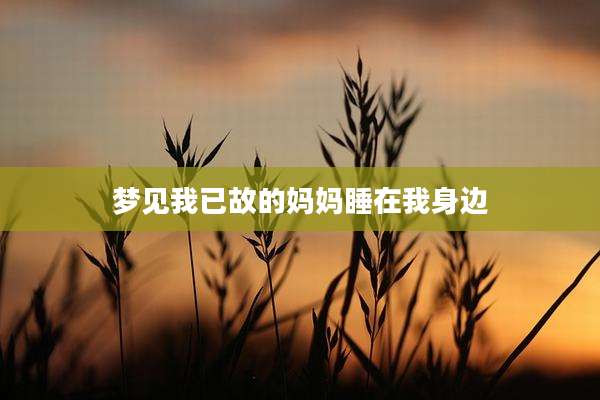 梦见我已故的妈妈睡在我身边