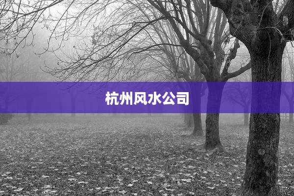 杭州风水公司