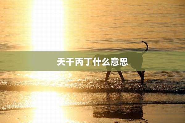 天干丙丁什么意思