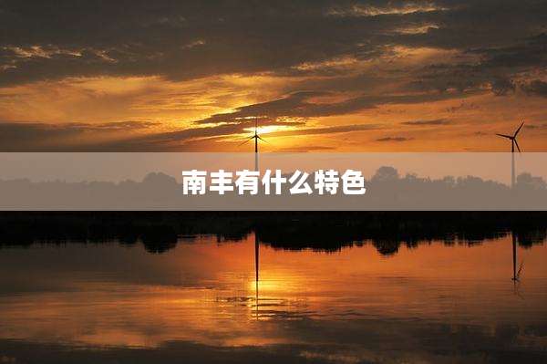 南丰有什么特色