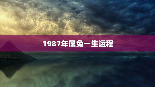 1987年属兔一生运程