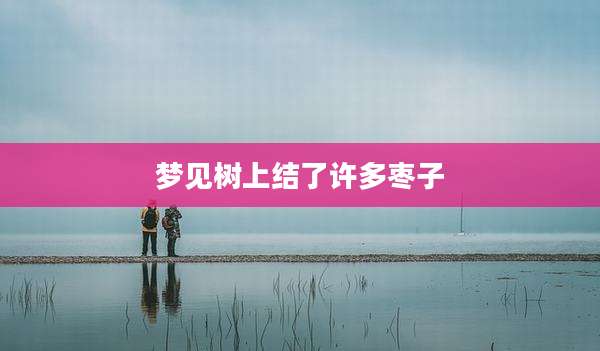 梦见树上结了许多枣子