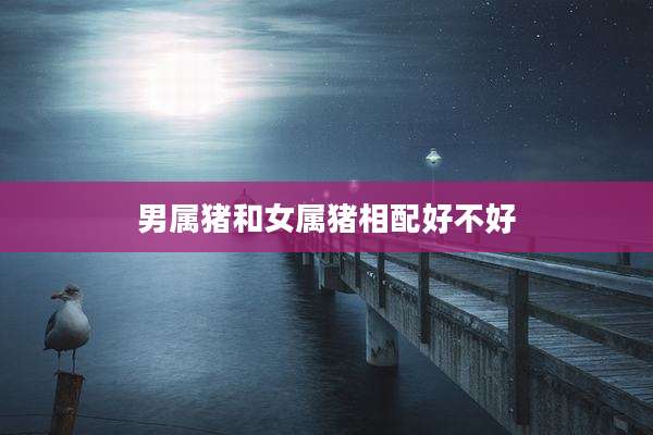 男属猪和女属猪相配好不好