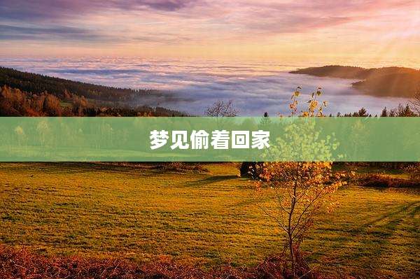 梦见偷着回家