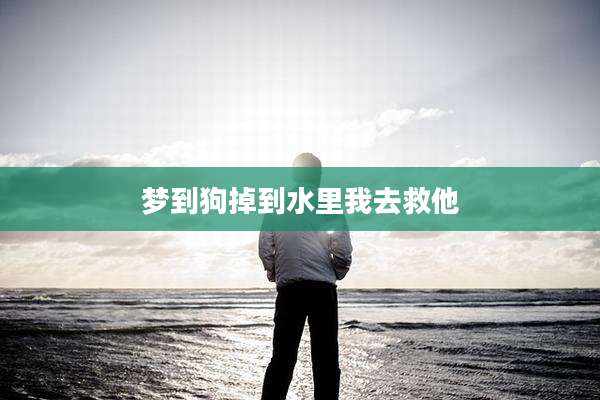 梦到狗掉到水里我去救他