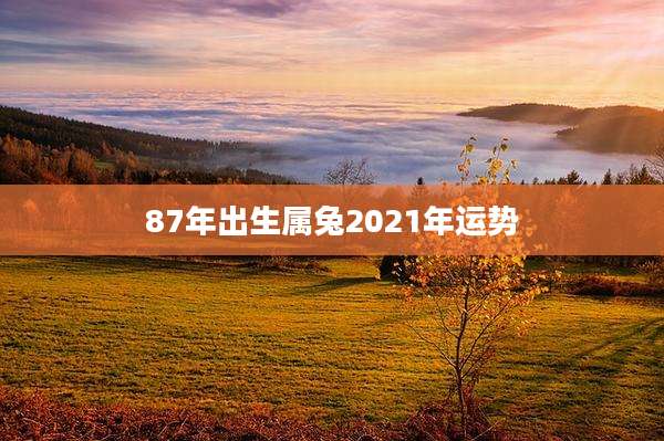 87年出生属兔2021年运势