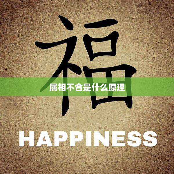 属相不合是什么原理