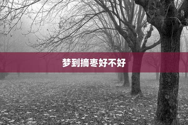 梦到摘枣好不好