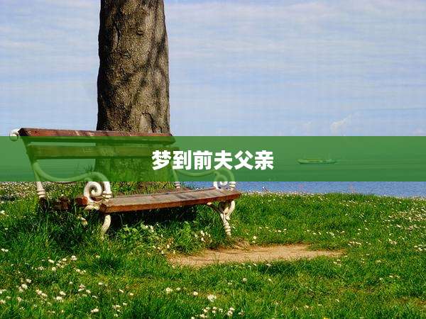 梦到前夫父亲