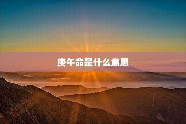 庚午命是什么意思