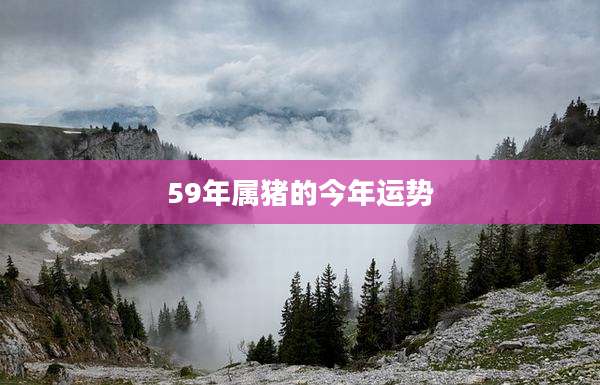 59年属猪的今年运势