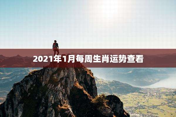 2021年1月每周生肖运势查看