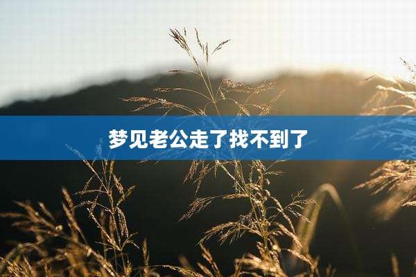 梦见老公走了找不到了