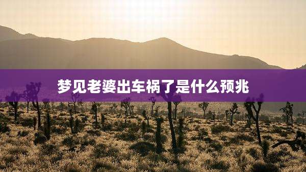 梦见老婆出车祸了是什么预兆