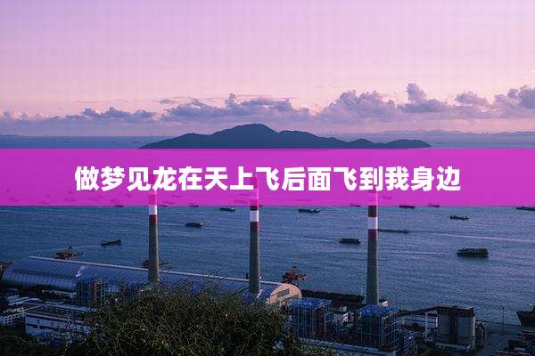 做梦见龙在天上飞后面飞到我身边
