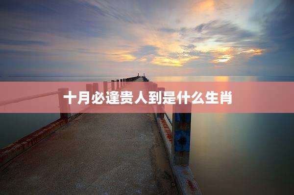 十月必逢贵人到是什么生肖