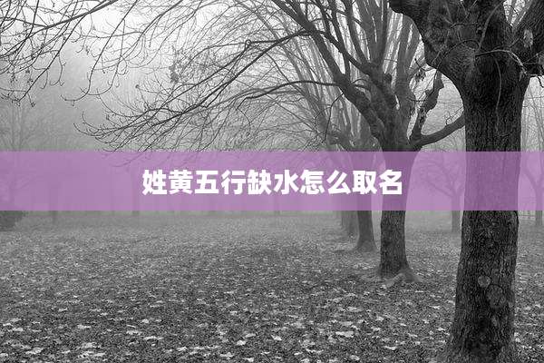姓黄五行缺水怎么取名