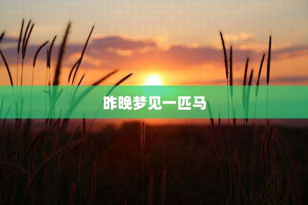昨晚梦见一匹马